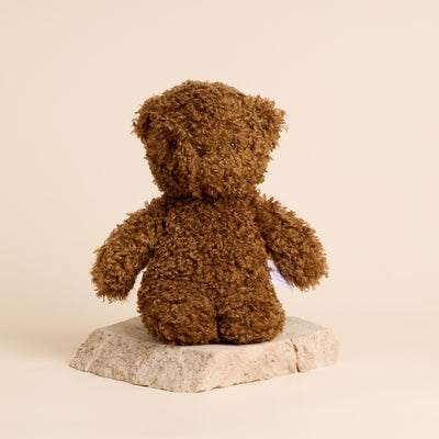 Charlie Bear Chocolate (27cm)